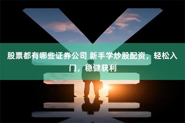 股票都有哪些证券公司 新手学炒股配资，轻松入门，稳健获利