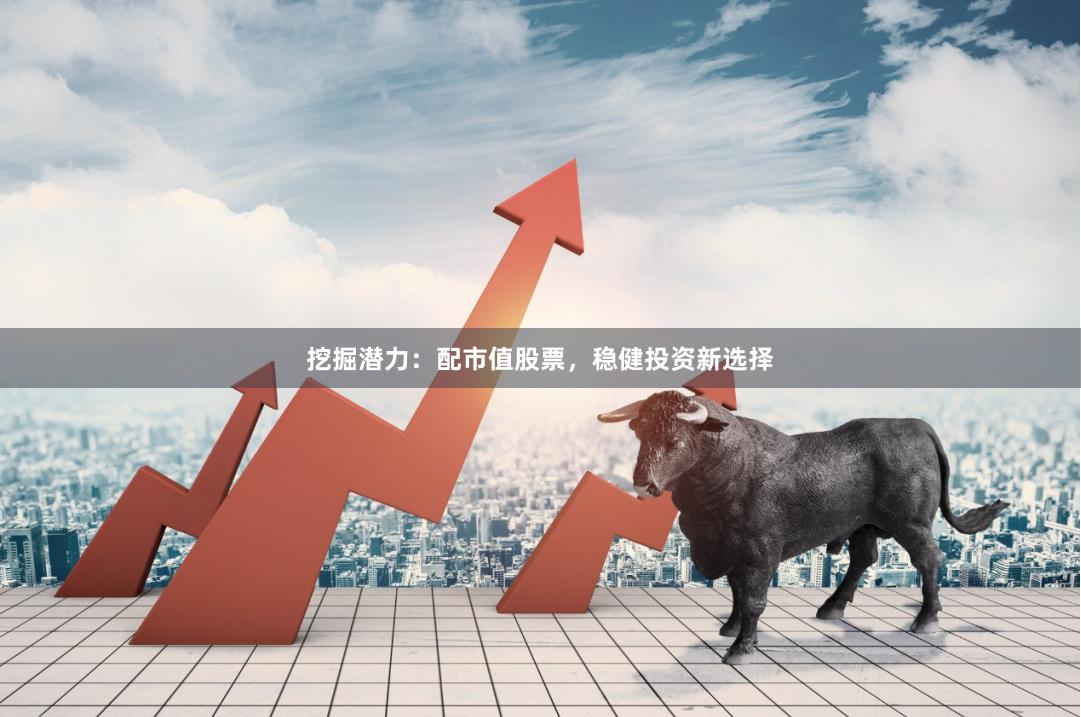 挖掘潜力：配市值股票，稳健投资新选择