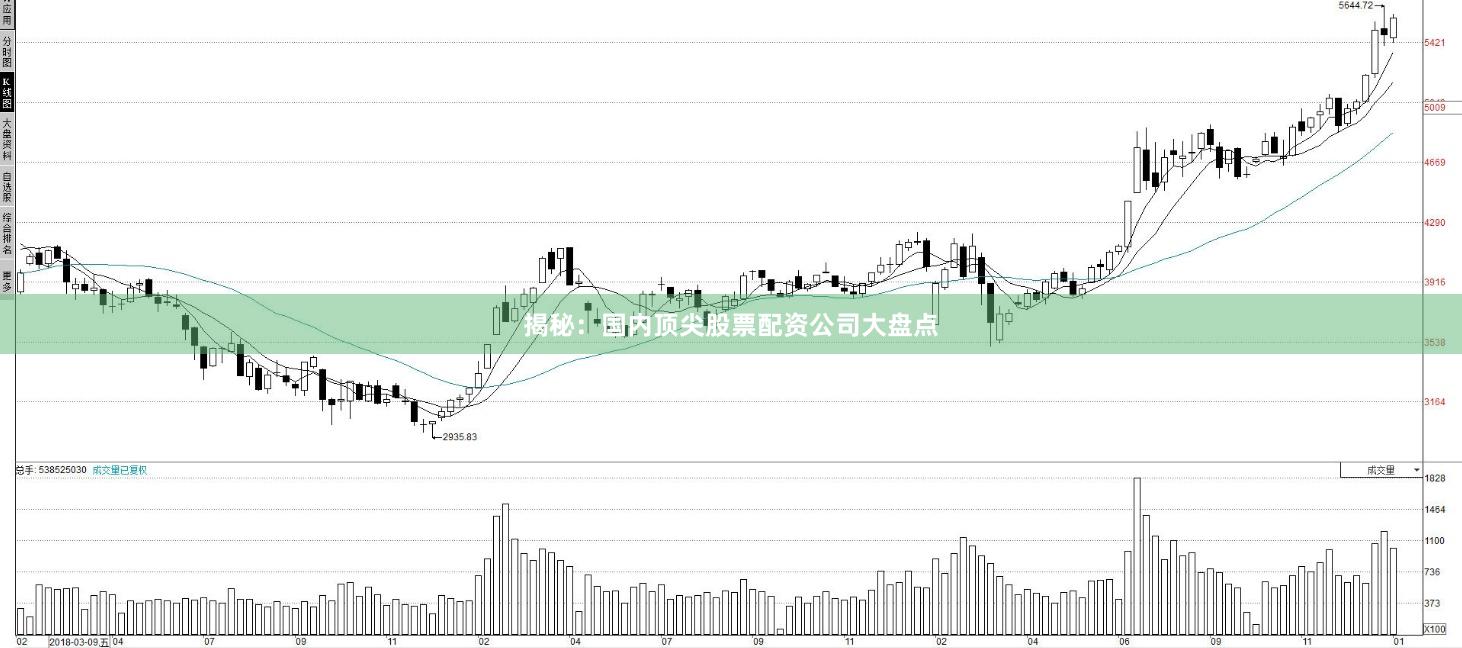 揭秘：国内顶尖股票配资公司大盘点