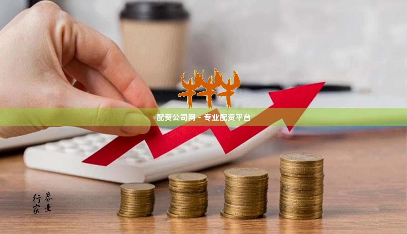 配资公司网 - 专业配资平台